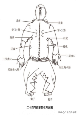 2024新澳门免费原料大全